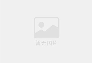 全自动油炸机网带式油炸流水线